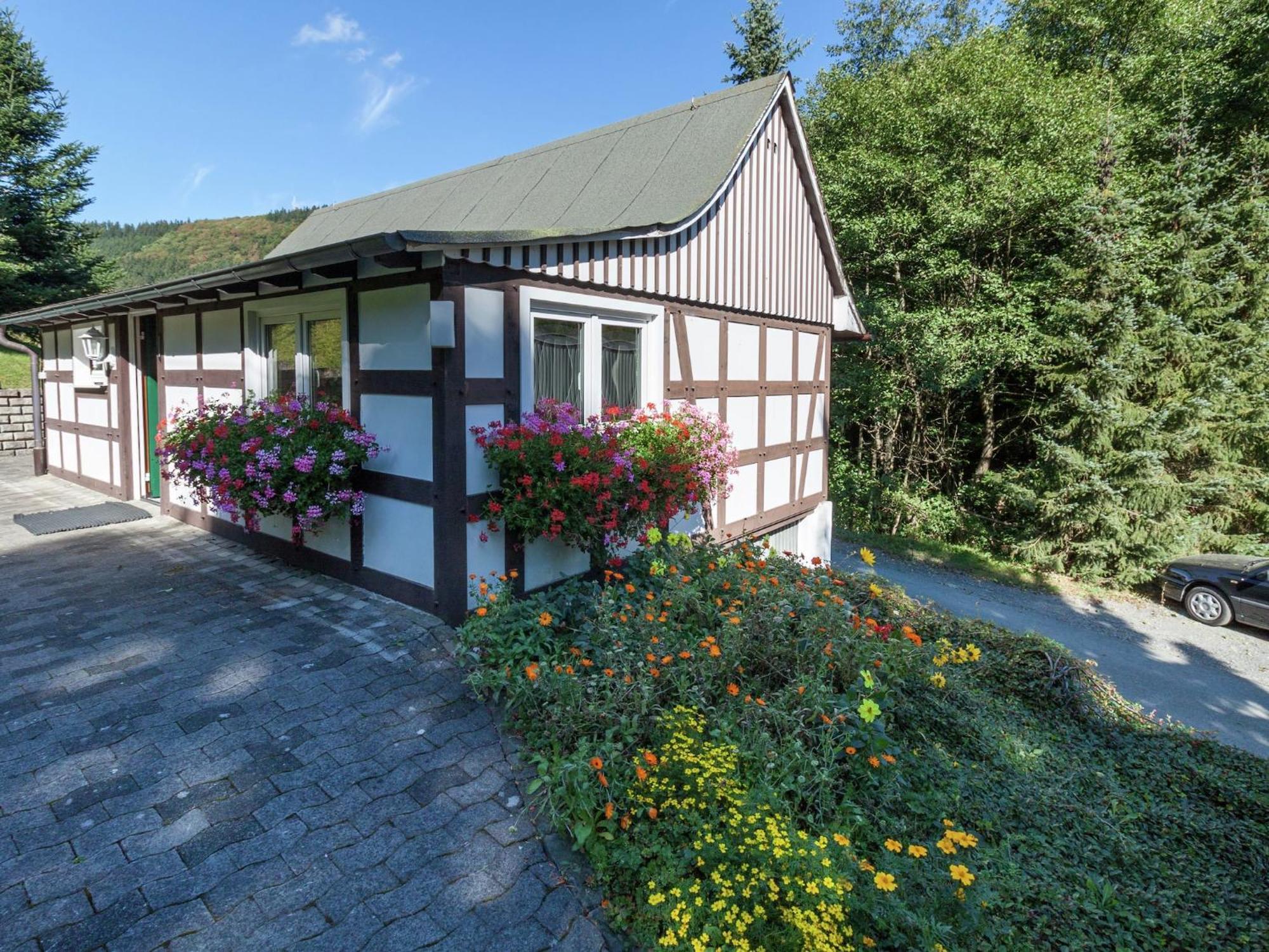 Modern Apartment In Sauerland With Balcony Schmallenberg Exterior foto